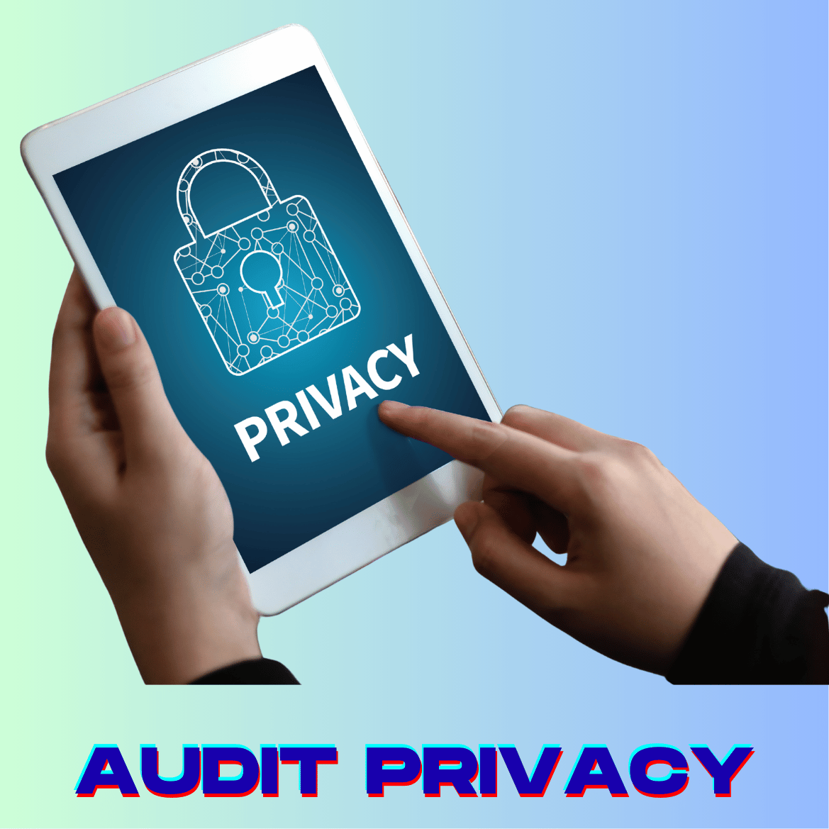 Audit privacy