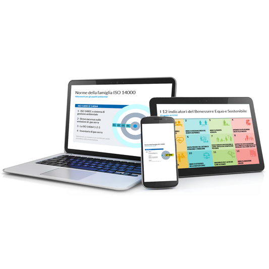 Modelli di riferimento per i sistemi di gestione Ambientale e Sociale (1h)