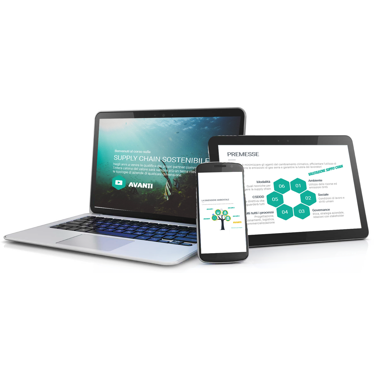 Qualifica della Supply chain (1h)